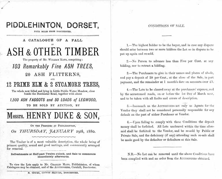 Timber sale page 1
