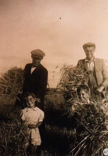 Harvest time, August 1949, Tom and Terry Jeanes
