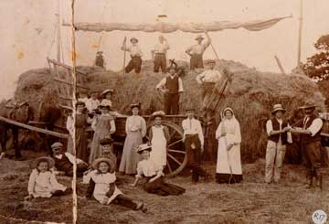 Jeanes family, haymaking